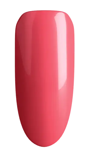 Nail Colors For Kit (Color Sets) Sassy Saints