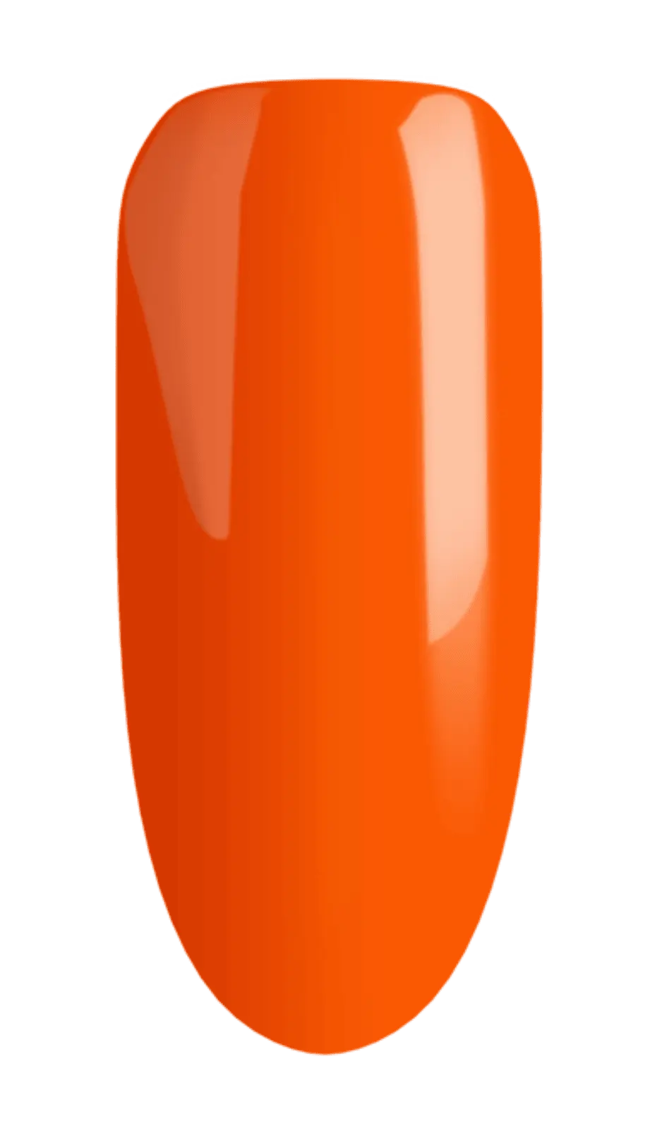 Nail Colors For Kit (Color Sets) Sassy Saints